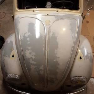 Meet your Posher, Timothy